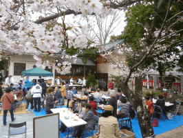 H29 桜祭り