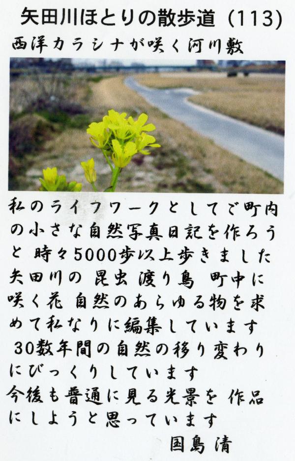矢田川ほとりの散歩道 P91 ～ P120 －４