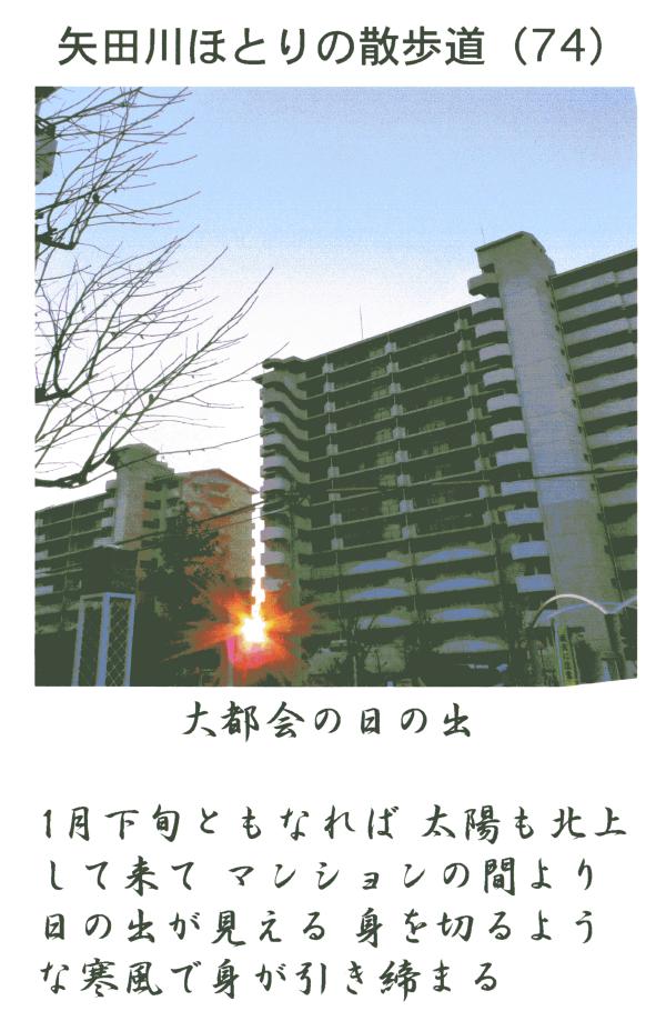 矢田川ほとりの散歩道 P61 ～ P90