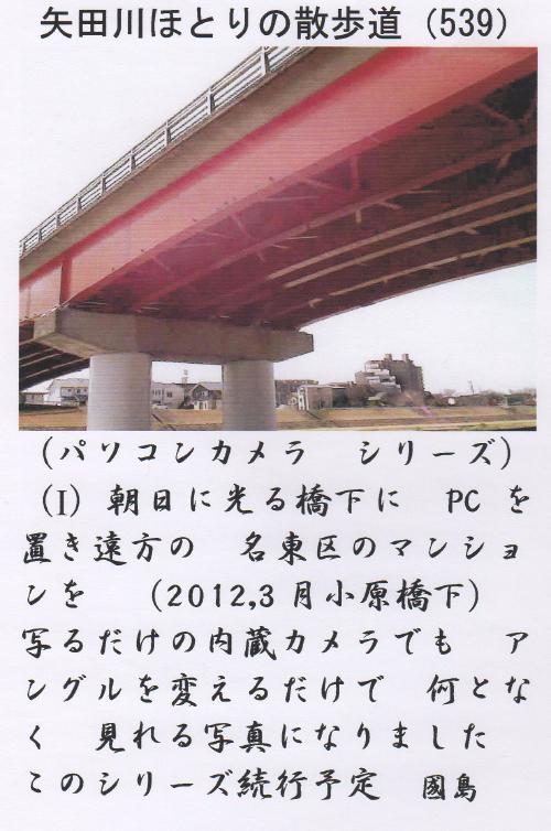 矢田川ほとりの散歩道 P511 ～ P540