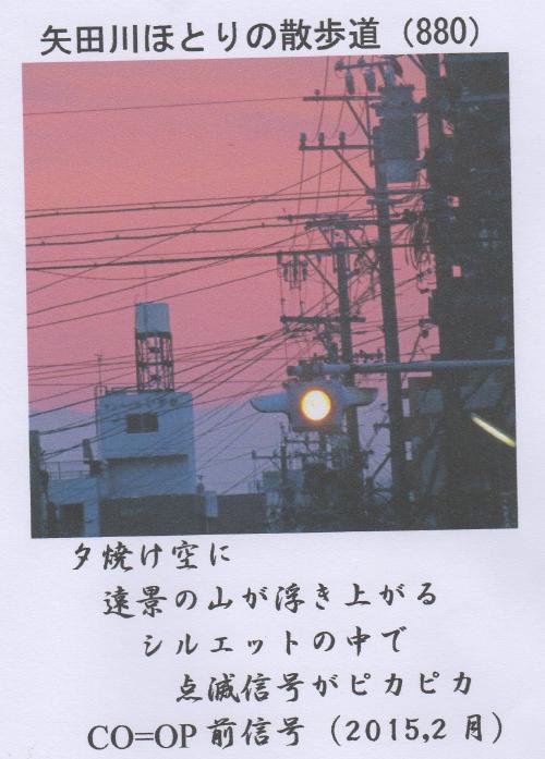矢田川ほとりの散歩道 P871 ～ P900