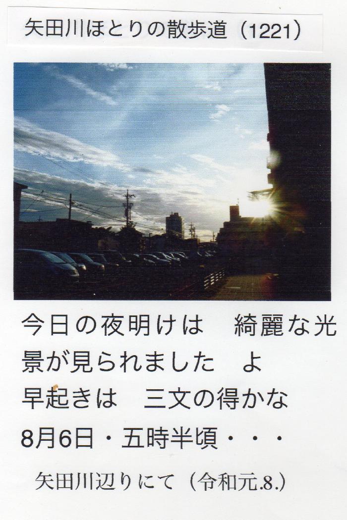 矢田川ほとりの散歩道 P1201 ～ P1230