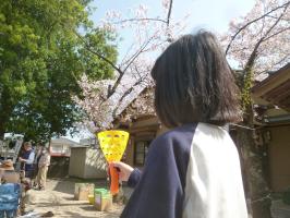2018年3月31日（土）桜祭り