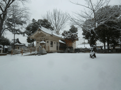 2018年1月26日 雪